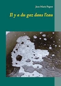 Il y a du gaz dans l'eau - Jean-Marie Pegeot - ebook