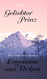 Geliebter Prinz - Billy Remie - ebook