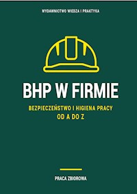 BHP w firmie. Bezpieczeństwo i higiena pracy od A do Z - zbiorowa praca - ebook