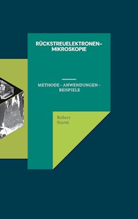 Rückstreuelektronenmikroskopie - Robert Sturm - ebook