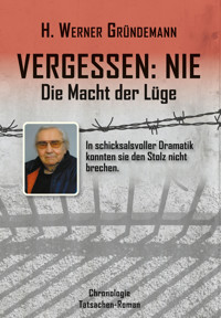 Vergessen: NIE - Die Macht der Lüge - H. Werner Gründemann - ebook