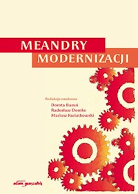 Meandry modernizacji -  - książka