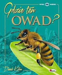 Gdzie ten owad - Kilon Dawid - książka