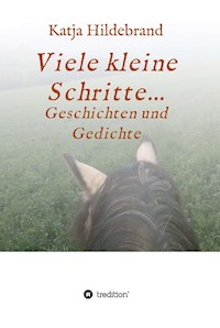 Viele kleine Schritte... - Katja Hildebrand - ebook