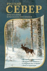 Русский Север. Красота края в рассказах писателей - Aleksandr Grin - ebook