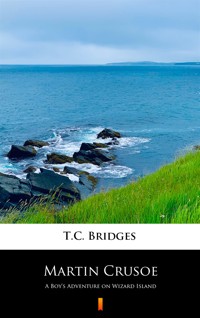 Martin Crusoe. A Boy’s Adventure on Wizard Island - T.C. Bridges - ebook