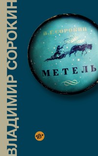 Метель - Владимир Сорокин - ebook