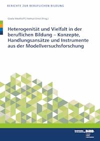 Heterogenität und Vielfalt in der beruflichen Bildung -  - ebook