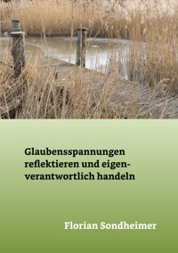 Glaubensspannungen reflektieren und eigenverantwortlich handeln - Florian Sondheimer - ebook