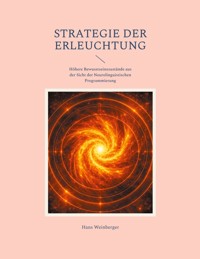Strategie der Erleuchtung - Hans Weinberger - ebook