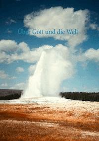 Über Gott und die Welt - Roland Harrer - ebook