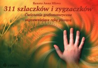 311 szlaczków i zygzaczków - Hływa Renata Anna - książka