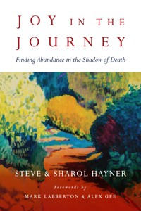 Joy in the Journey - Steve Hayner - ebook