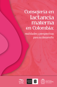 Consejería en lactancia materna en Colombia: realidades y perspectivas para su desarrollo - Blanca Patricia Mantilla - ebook
