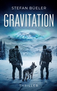 Gravitation - Stefan Büeler - ebook
