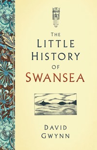 The Little History of Swansea - David Gwynn - ebook