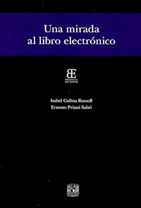 Una mirada al libro electrónico - Ernesto Priani - ebook