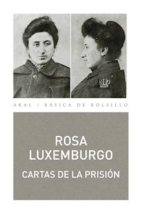 Cartas desde la prisión - Rosa Luxemburgo - ebook
