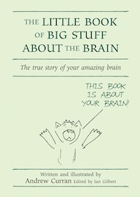 The Little Book of Big Stuff About the Brain - Andrew Curran - ebook
