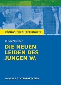 Die neuen Leiden des jungen W. Königs Erläuterungen. - Ulrich Plenzdorf - ebook