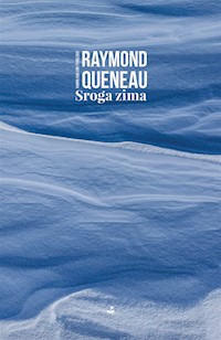 Sroga zima - Raymond Queneau - ebook + książka