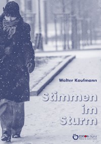Stimmen im Sturm - Walter Kaufmann - ebook