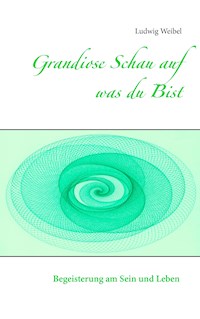 Grandiose Schau auf was du Bist - Ludwig Weibel - ebook