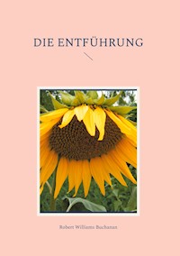 Die Entführung - Robert Williams Buchanan - ebook
