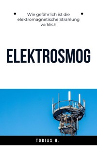 Elektrosmog - wie gefährlich ist die elektromagnetische Strahlung wirklich? - Tobias Hopfmüller - ebook