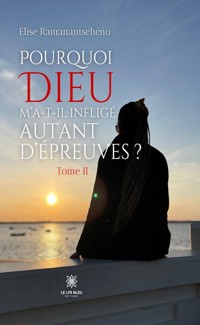 Pourquoi Dieu m’a-t-il infligé autant d’épreuves - Tome 2 - Elise Ramanantséhéno - ebook