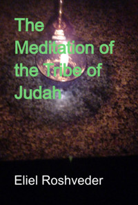 The Meditation Of The Tribe Of Judah - Eliel Roshveder - ebook
