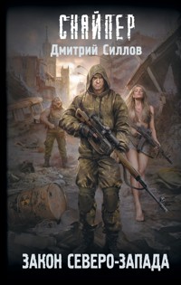 Закон Северо-Запада - Дмитрий Силлов - ebook