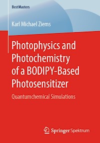 Photophysics and Photochemistry of a BODIPY‐Based Photosensitizer - Karl Michael Ziems - ebook