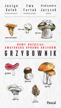 Grzybownik - Ewa Furtak, Justyn Kołek, Aleksandra Jarczok - książka
