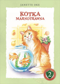 Kotka marnotrawna - Janette Oke - ebook + audiobook