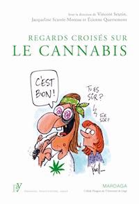 Regards croisés sur le cannabis - Étienne Quertemont - ebook