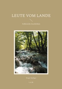 Leute vom Lande - Ewger Seeliger - ebook