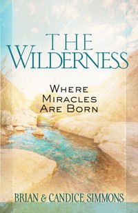 The Wilderness - Brian Simmons - ebook