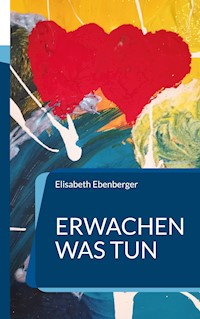 Erwachen was tun - Elisabeth Ebenberger - ebook