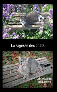 La sagesse des chats - Abdelkarim Belkassem - ebook