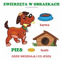 Zwierzęta w obrazkach - Błędowski Ernest - książka
