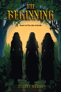 The Beginning - Stuart Munro - ebook