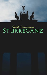 Sturreganz - Jakob Wassermann - ebook