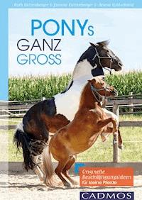 Ponys ganz groß - Ruth Katzenberger - ebook