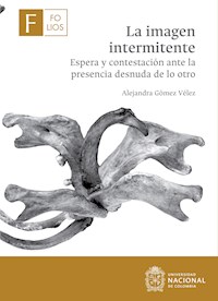 La imagen intermitente - Alejandra Gómez Vélez - ebook