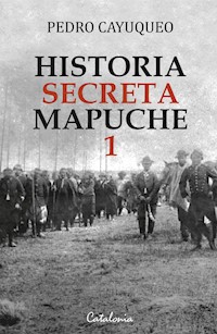 Historia secreta mapuche 1 - Pedro Cayuqueo - ebook