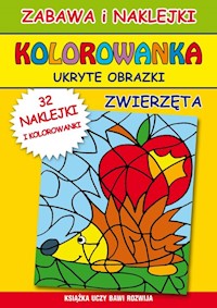 Kolorowanka ukryte obrazki -  - książka