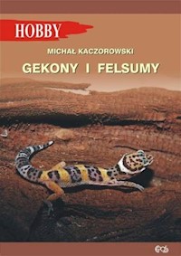 Gekony i felsumy - Kaczorowski Michał - książka