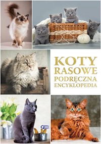 Koty rasowe -  - książka