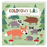 Kolorowy las Co tu nie pasuje? - Holtfreter Nastja - książka